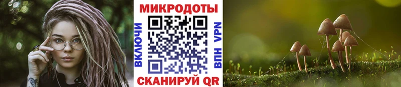Псилоцибиновые грибы Psilocybe  закладки  Керчь 
