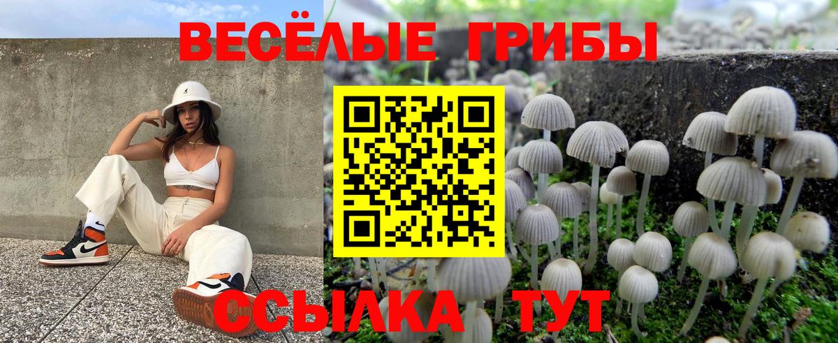Псилоцибиновые грибы ЛСД  Вход с VPN  Галлюциногенные грибы MAGIC MUSHROOMS  что такое наркотик  Керчь 